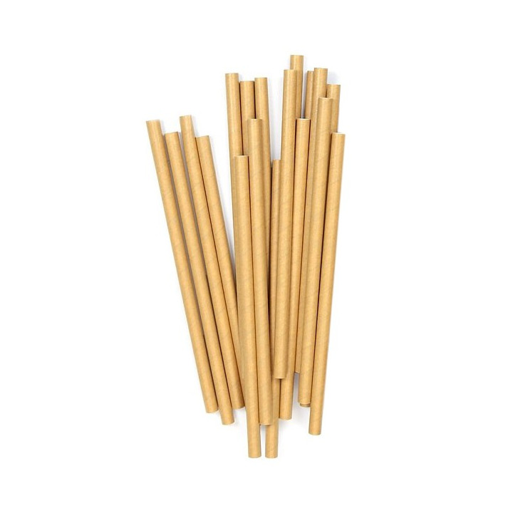 Pailles carton