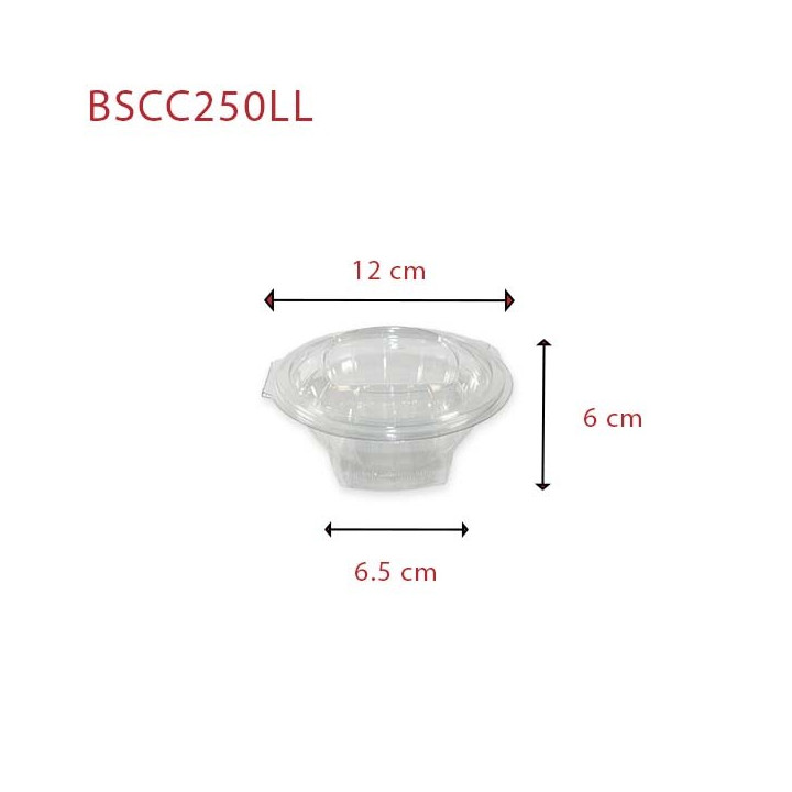 Bol salade BSCC250LL
