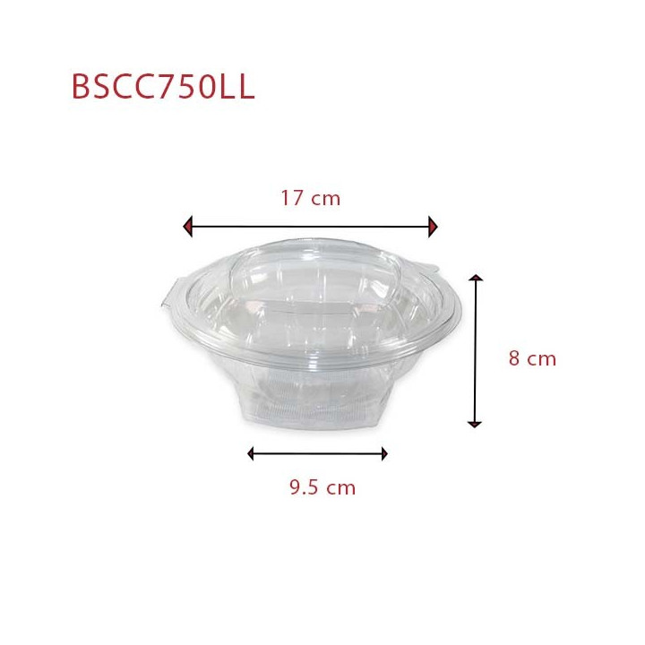 Bol salade BSCC750LL
