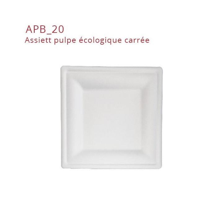 Assiette-pulpe-carrée-20-cm