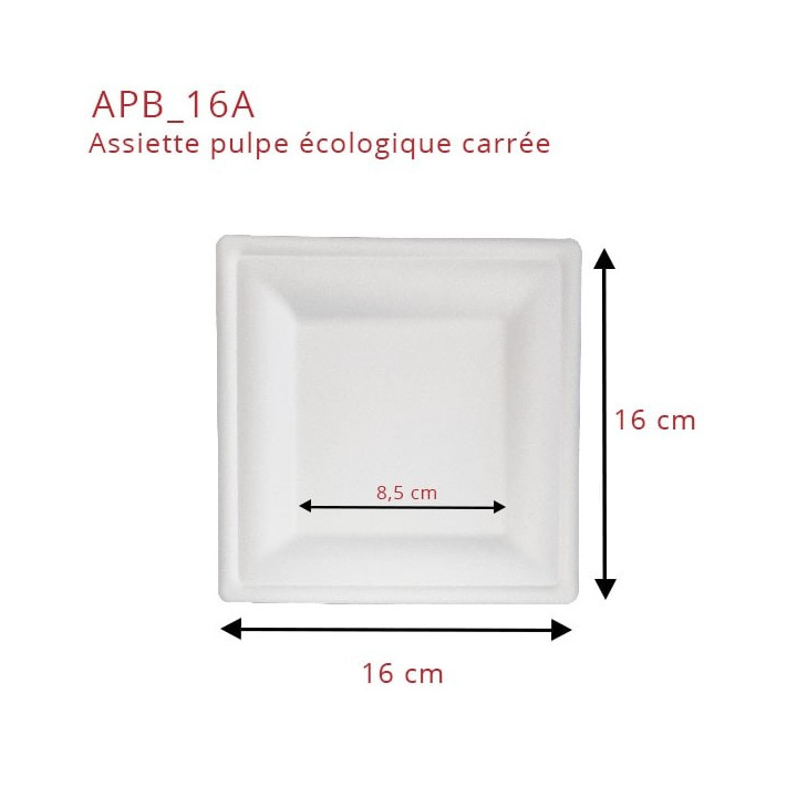 Assiette-pulpe-carrée-16-cm-dimension