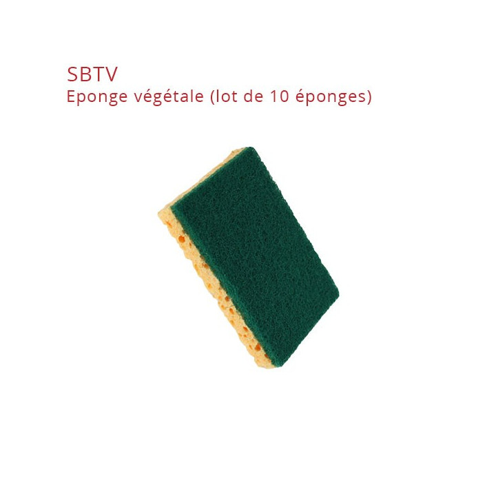 éponge SBTV