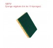 SBTV
