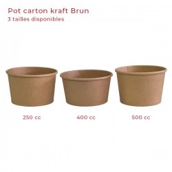 miniature Pot Kraft Brun