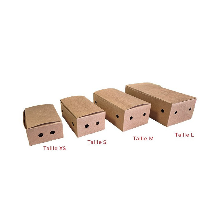 Boite-carton-alimentaire-chicken modele