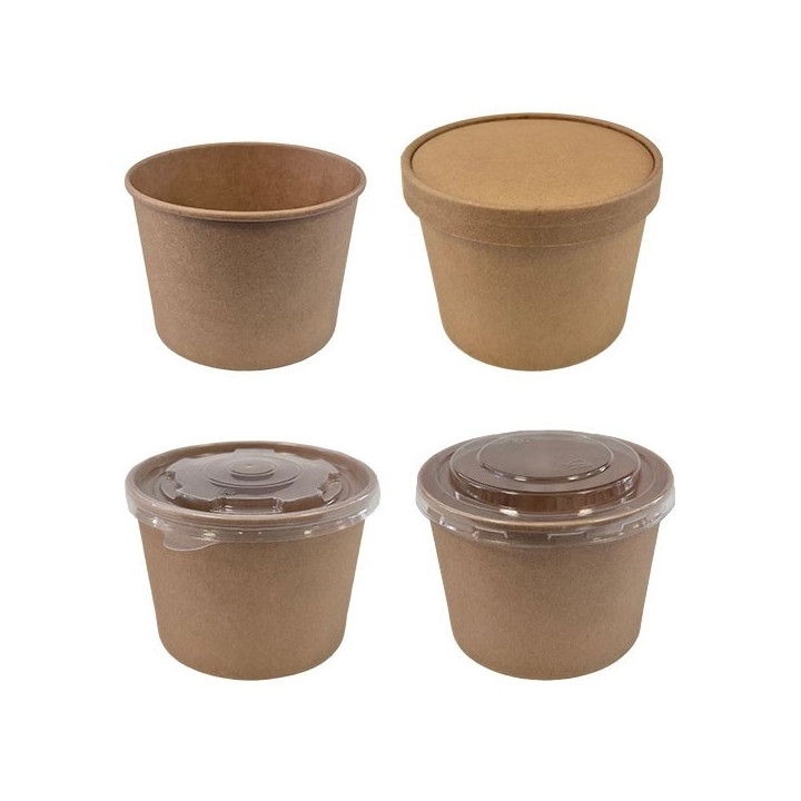 pot en carton