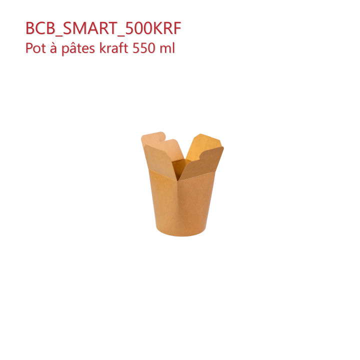 BCB_SMART_550KRF ouvert