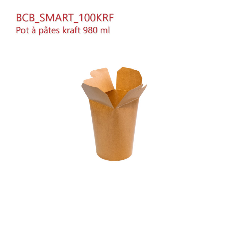 BCB_SMART_100KRF ouvert