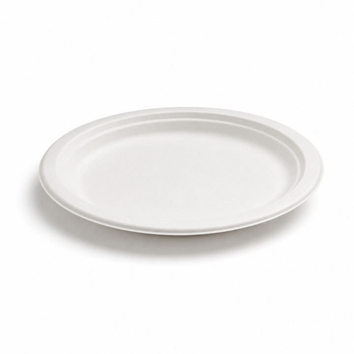 Assiette-jetable-en-pulpe 2