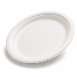 Assiette pulpe de canne