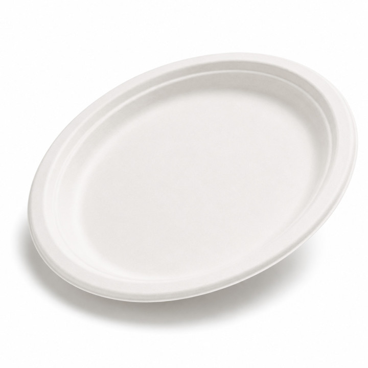 Assiette pulpe de canne