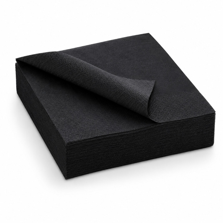 Serviette 2 plis 40x40 noir