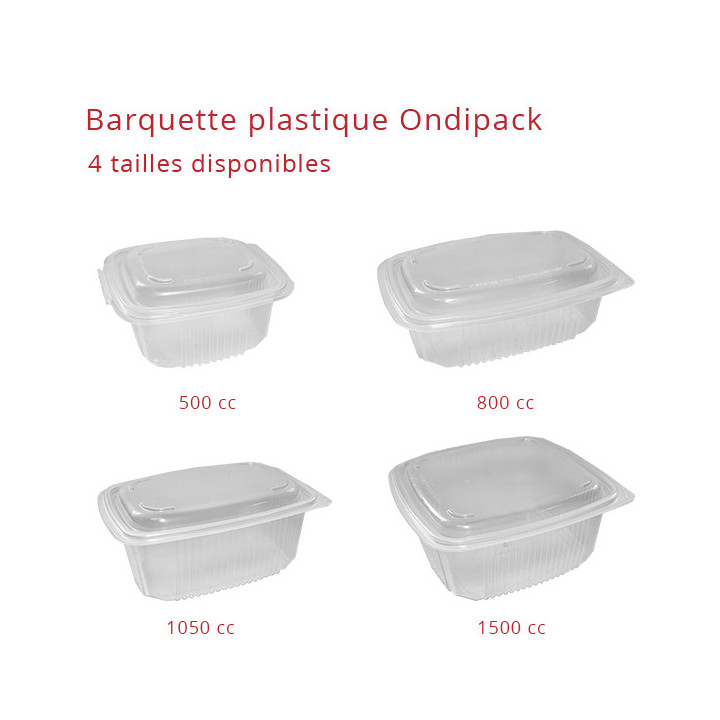 Barquette plastique charnière