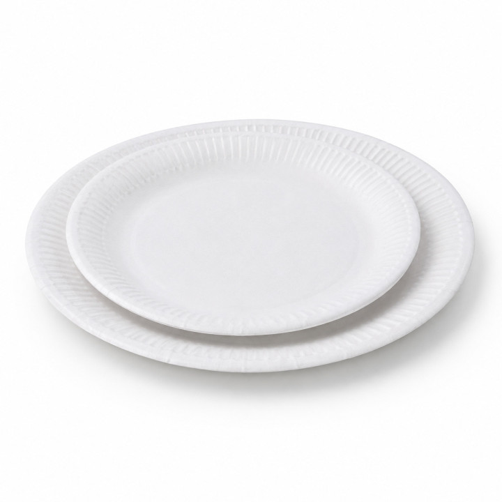 Assiette Carton Blanche standard - Le Bon Emballage