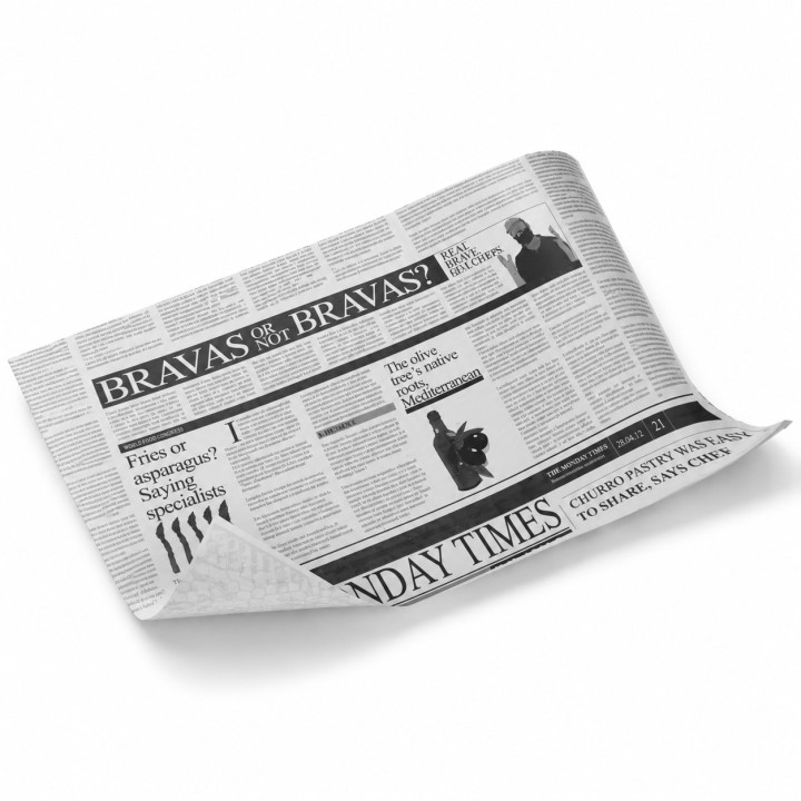 Papier ingraissable Newspaper hamburger